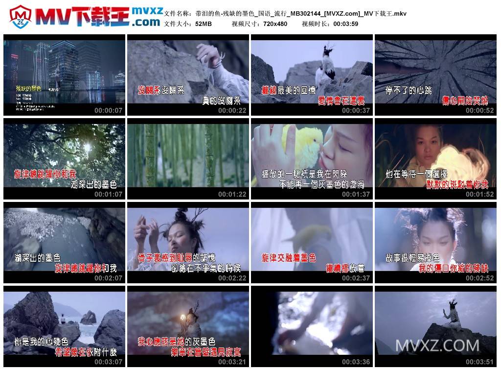 带泪的鱼-残缺的墨色_国语_流行_MB302144
